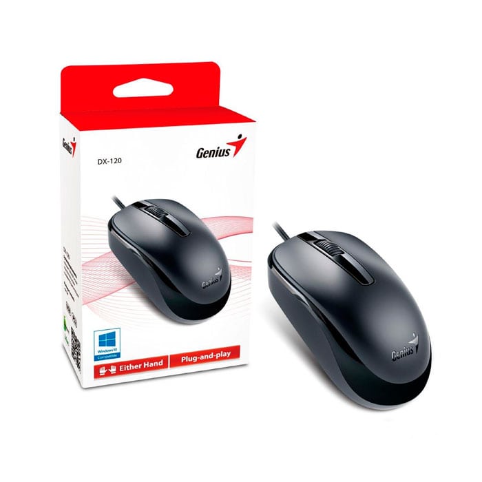 MOUSE GENIUS DX-120 NEGRO USB